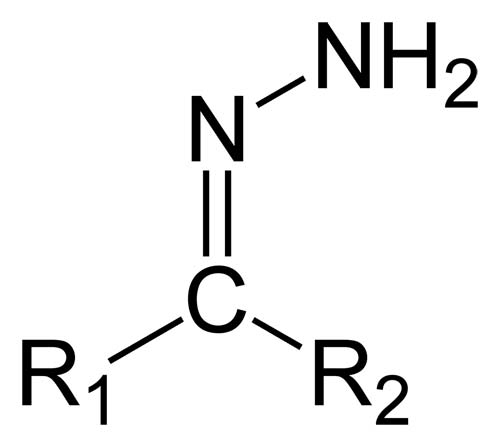 Hydrazone