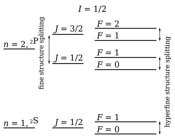 Schematic illustration of fine and hyperfine structure in a neutral hydrogen atom.