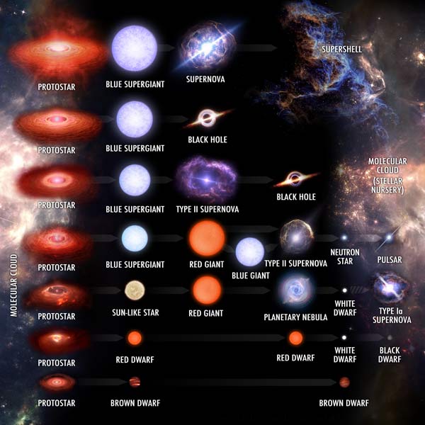The largest blue supergiant stars explode into hypernovas.