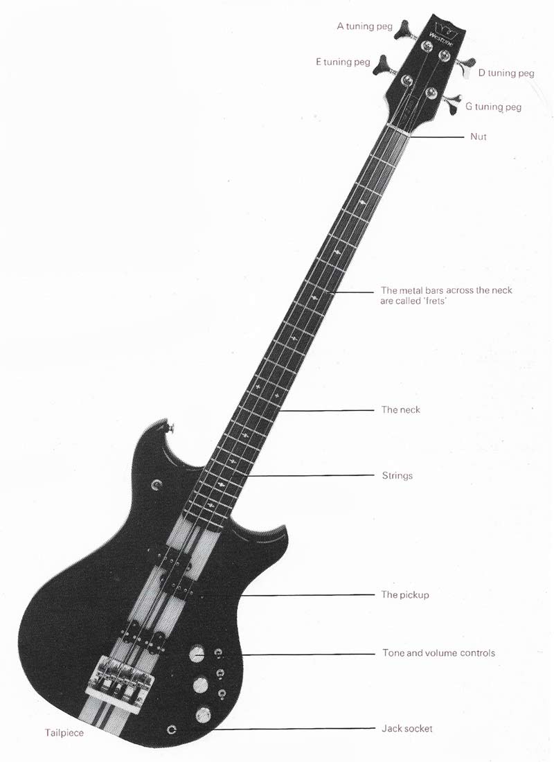 Bass guitar compnents