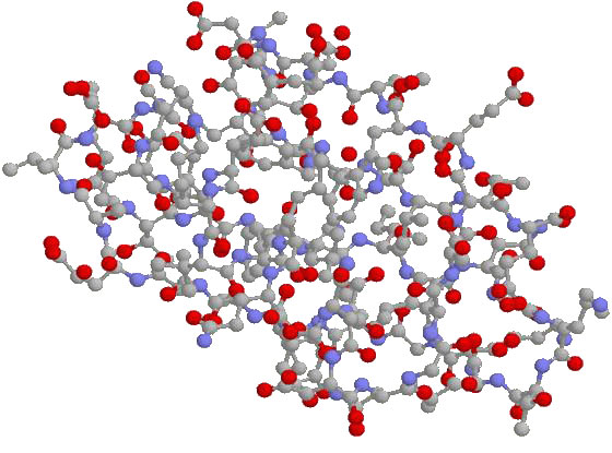 A molecule of glucose.