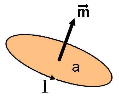 Magnetic moment