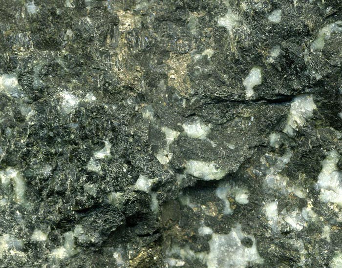 Sulfidic metatroctolite