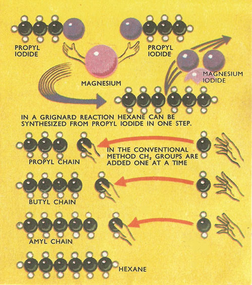 Grignard reagents used to synthesize carbin chains