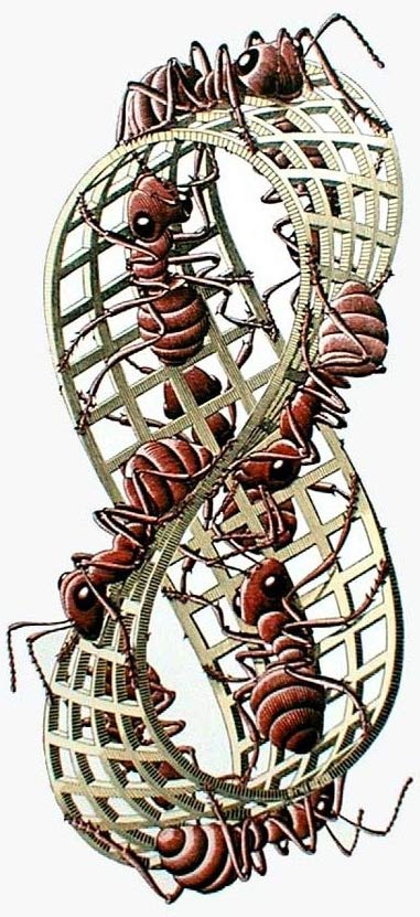Moebius Strip II by Escher