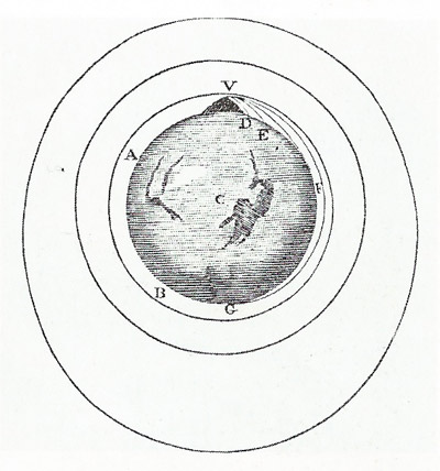 Isaac Newton calculated the speed at which a body projected horizontally from the top of a mountain would leave the earth and begin revolving around it