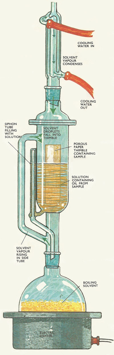 Soxhlet apparatus