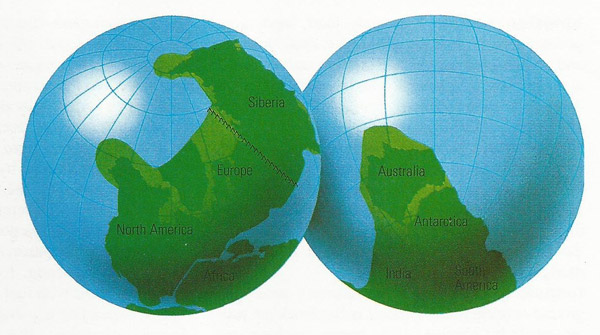 Distribution of land in the Triassic