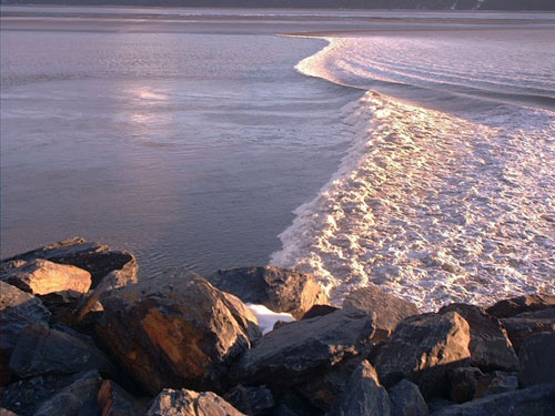 Turnagain Arm Bore