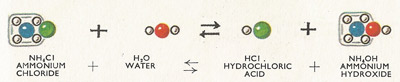 reaction between ammonium chloride and water