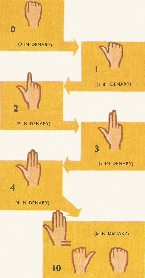 counting in fives