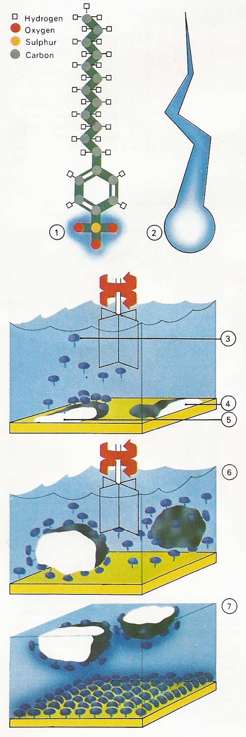 How a detergent works