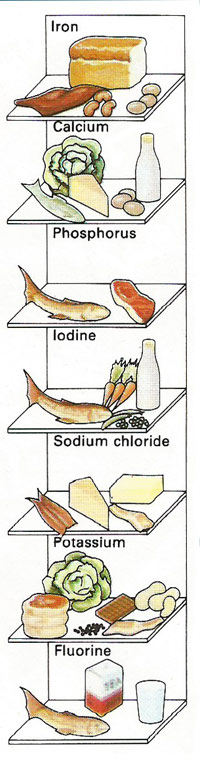 sources of dietary minerals