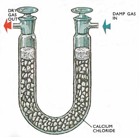 Drying a gas by passing it into an absorption tube containing calcium chloride crystals