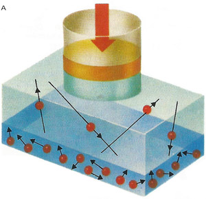 When the pressure exerted by the piston is doubled, the gas volume is halved (provided temperature does not change). This is an example of Boyle's law: pressure is inversely proportional to volume.