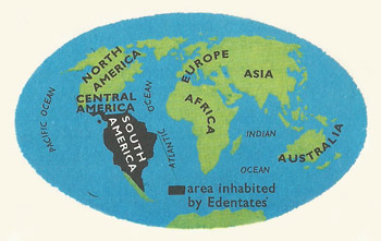 Distribution of the edentates