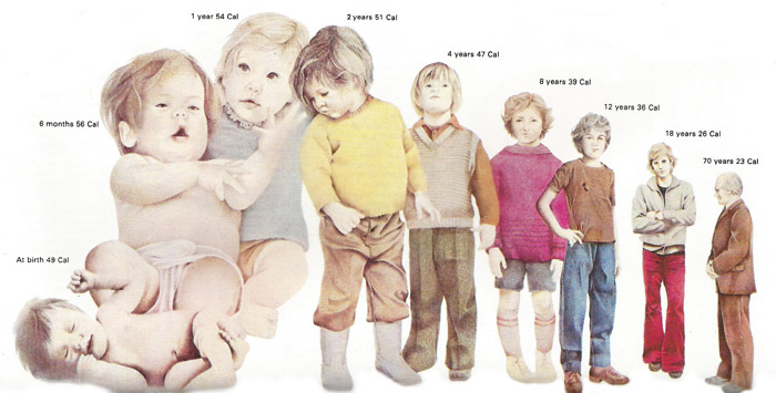 Energy requirements per kilogram of body weight at different ages