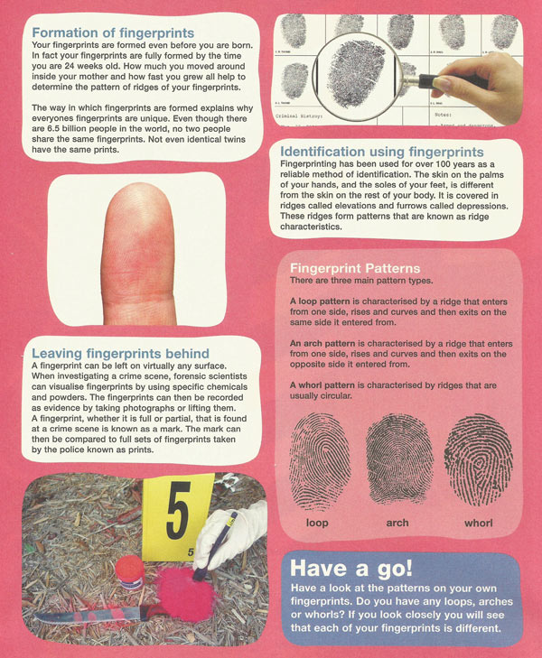 fingerprints