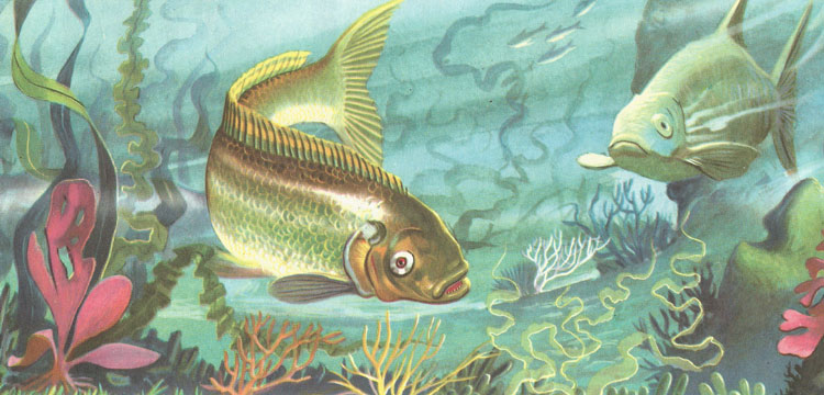 Fish among the plants on the sea bottom