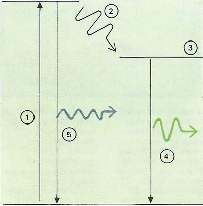 Fluorescence occurs when an atom receives light energy [1] and divides emission of the energy into two stages: a small energy change producing infrared [2] to an intermediate energy state [3] and a large change giving light at a lower frequency than that received [4]. Normal light production occupies one change [5]. Phosphorescence is similar but stage two takes some time.