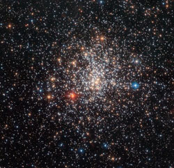 A carbon star within the NGC 2108.