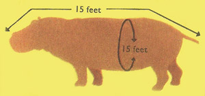 Size of the hippopotamus