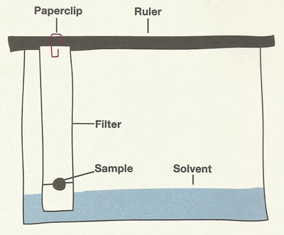 ink chromatography