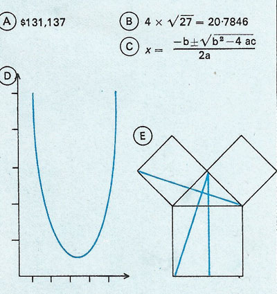 Mathematics has generated its own language