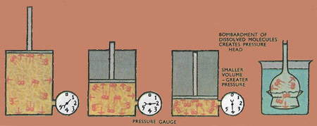 osmotic pressure