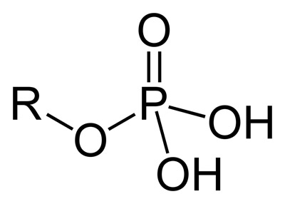 phosphate group