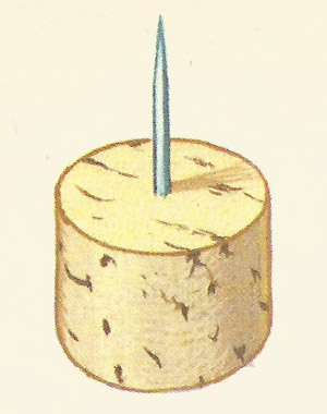 pin in cork
