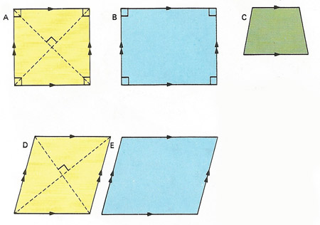 quadrilaterals