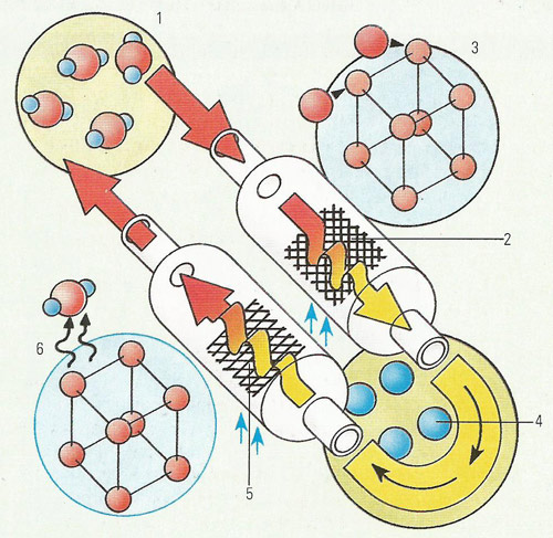 reversible reaction