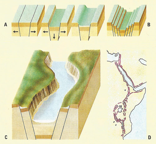 rift valley, how it forms