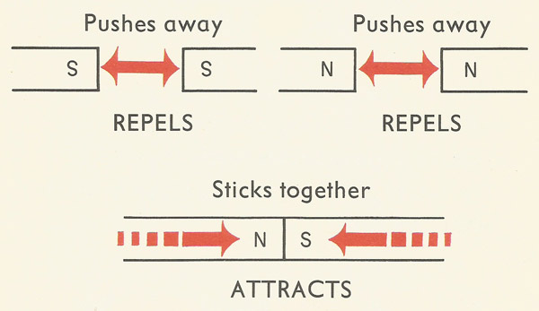 rule of magnets