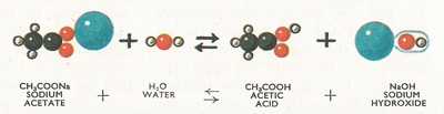 reaction between sodium acetate and water