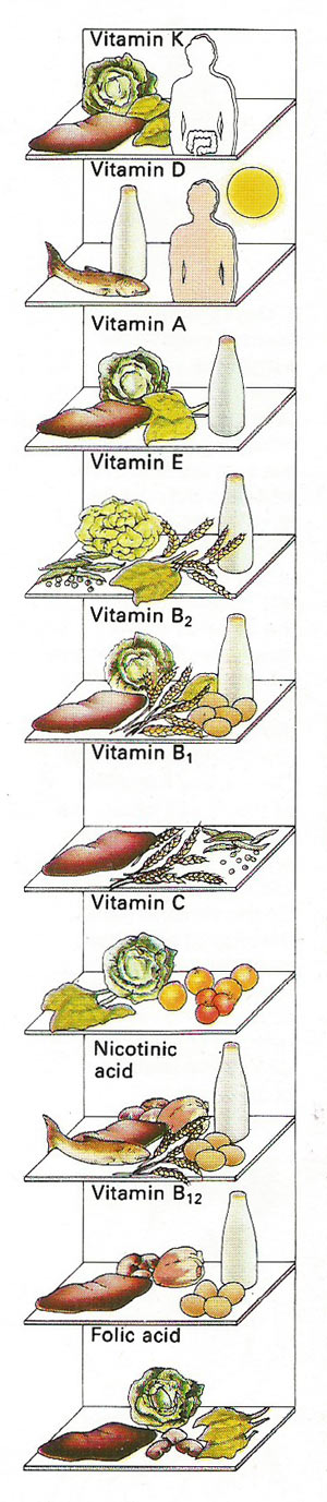 sources of vitamins