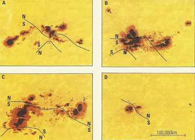 sunspot polarities