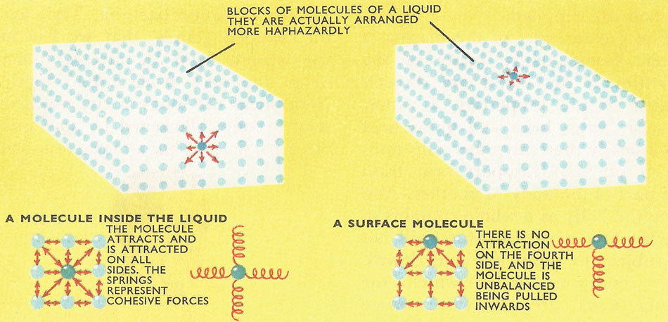 How surface tension works