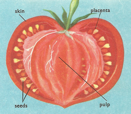 tomato section