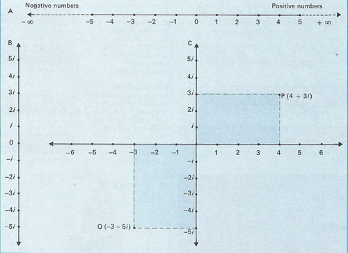 types of numbers