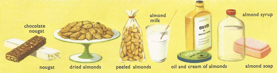 Uses of almond