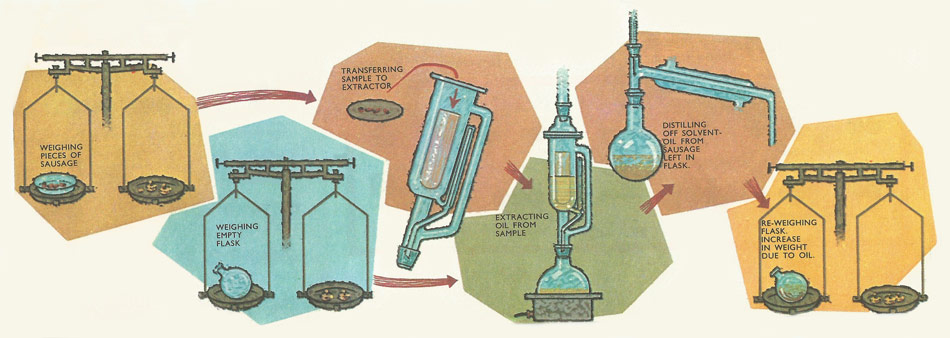 using the Soxhlet apparatus