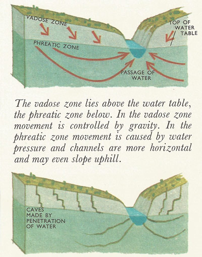 Vadose and phreatic zones