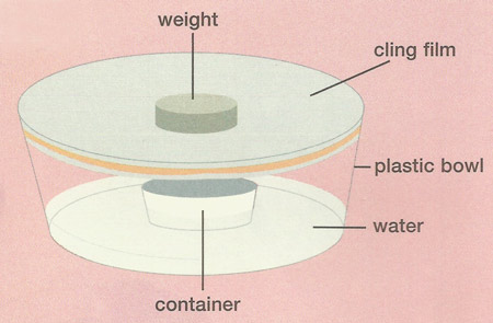 water cycle experiment