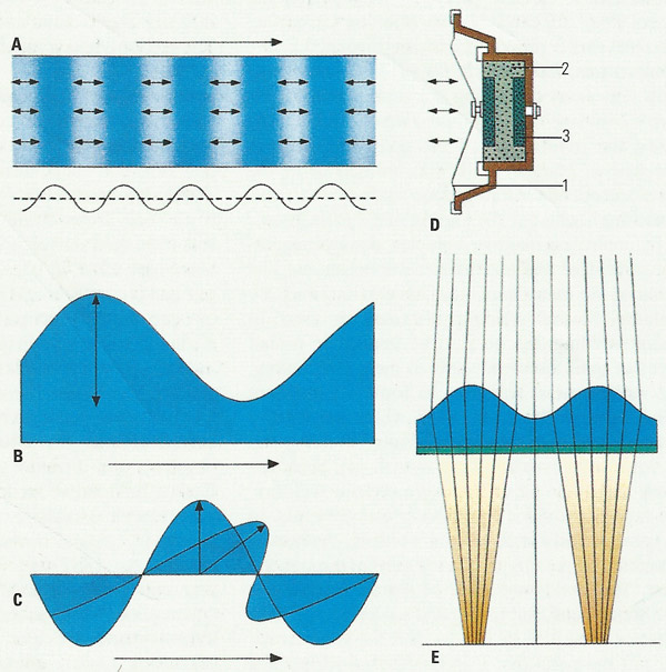 waves and wave motion