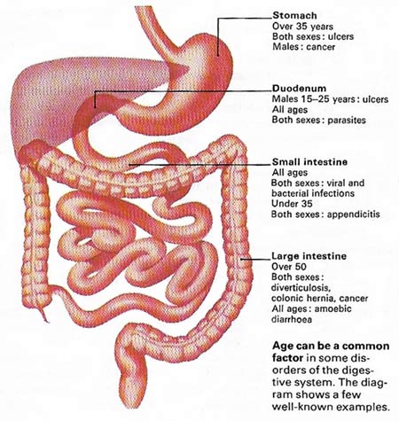 Age-related disorders of the GI tract