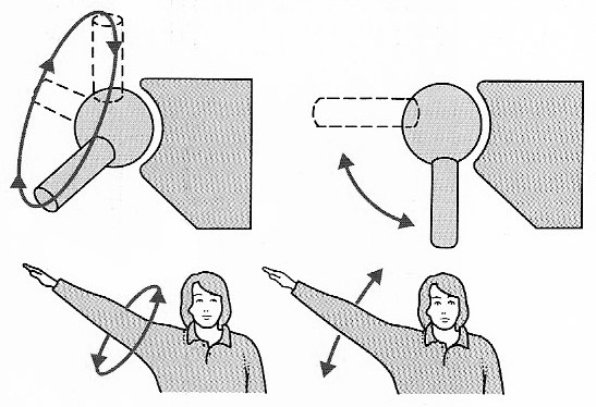 ball-and-scoket joint