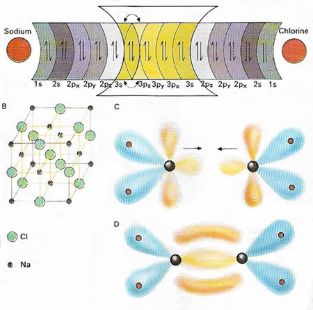 types of chemical bond