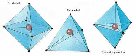 Shapes of coordination compounds